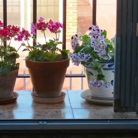 Apartment Patios De San Pedro