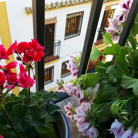 Patios De San Pedro *